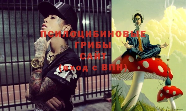 мдпв Мегион