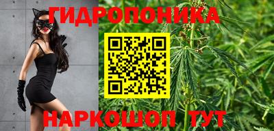 СК Балашиха