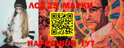 СК Балашиха