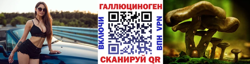 Галлюциногенные грибы Cubensis гидра ТОР Топки