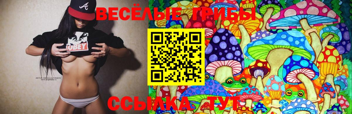 Галлюциногенные грибы мухоморы  Топки  наркота  Галлюциногенные грибы MAGIC MUSHROOMS 