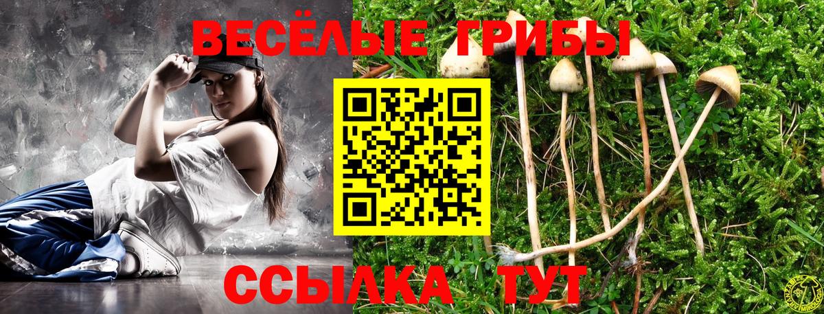 Галлюциногенные грибы Magic Shrooms  Галлюциногенные грибы Magic Shrooms  Вход с VPN  Топки 